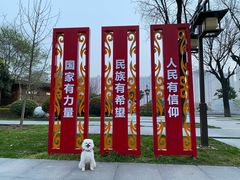-木塔寺遗址生态公园