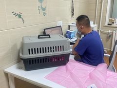 -北京观赏动物医院·24小时大型综合·猫专科·异宠专科