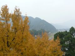 景点-蒋氏故居