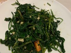 -食家鸽园