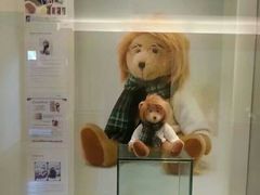 -济州岛泰迪熊博物馆