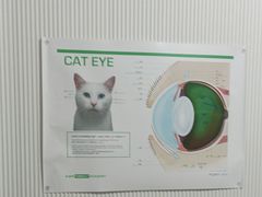-守诺宠物医院·眼科· 神经外科·爬宠专科(虹口店)