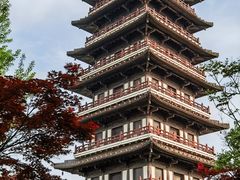 -宜兴龙背山森林公园