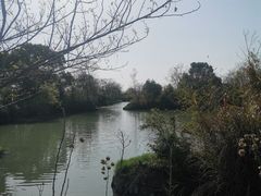 -西溪国家湿地公园