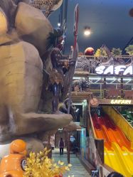 -卡通尼·Safari非洲探索乐园·生日会(金桥国际商业广场店)