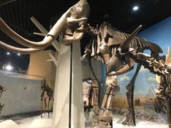 -国家自然博物馆