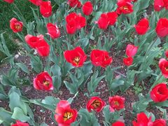 -长春公园(普阳街道)