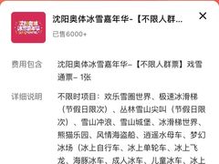 -沈阳奥体冰雪嘉年华