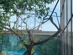 -成都动物园