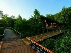 -西湖风景区-江洋畈生态公园