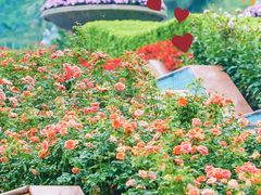 -广州市白云山风景名胜区