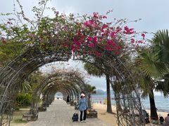 -大梅沙海滨公园