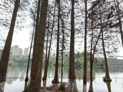-重庆彩云湖湿地公园