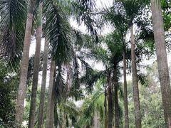 -华南国家植物园-售票处