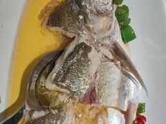 青花椒蒸白水鱼-荣兴酒家(徐家汇店)