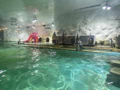 -北戴河圣蓝海洋公园