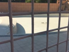 -九龙公园