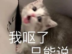 -其美潮州鱼旦粉世家(花城汇南区分店)