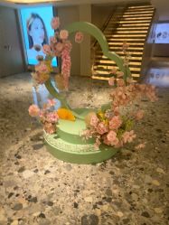 -北京漾格医疗美容医院