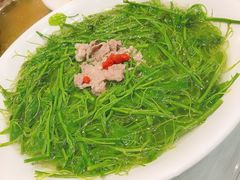 -鹅城
