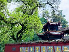 -峨眉山风景名胜区