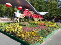 -东平国家森林公园
