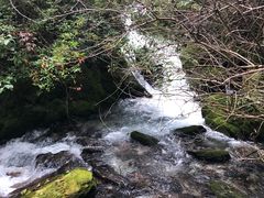 -神农架香溪源景区