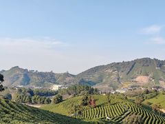 -帐篷客·溪龙茶谷度假酒店