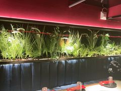 -沪小胖·小龙虾·蓝龙王(八佰伴店)
