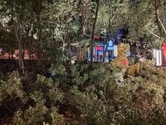 -宝莱纳啤酒花园餐厅PAULANER BRAUHAUS Nanjing(广州路店)
