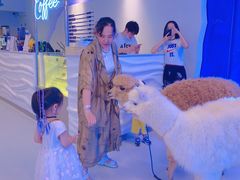 -Blue Concept Cafe&Farm·關於藍