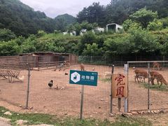 -北京山里寒舍度假酒店