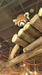 -Zoolung Zoolung动物主题公园(海信广场店)