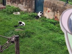 -大连森林动物园