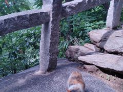 -天津盘山风景名胜区