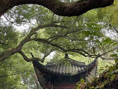 -杭州黄龙洞
