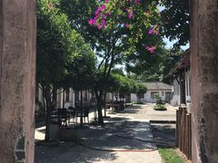 -金谷域澳洲庄园