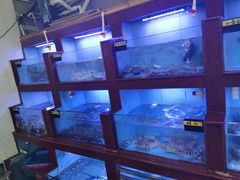 -顺兴饭店(石庭东路店)