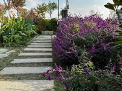 -嘉北郊野公园