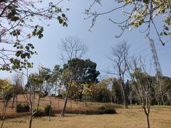 -中国移动南方基地