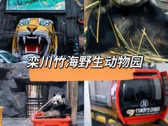 -栾川竹海野生动物园
