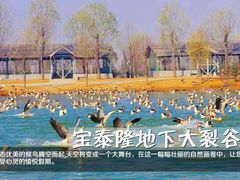 -泰安地下龙宫景区