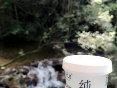 -牛背梁国家森林公园