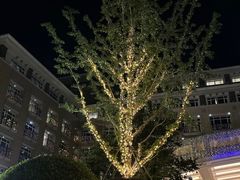 -九洲喜来登酒店湖月日餐厅