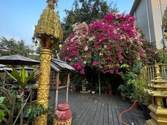 -品德宏·孔雀宴的发源地(金塔园店)