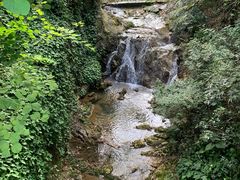 -南海湾森林生态园