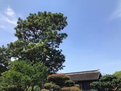 -灵岩山风景区
