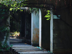 -燕晗山郊野公园