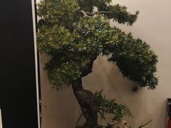 -小菜园新徽菜(南京秦淮龙蟠汇店)