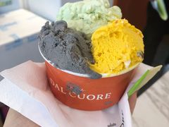 斑斓椰子-Dal Cuore 达可芮冰淇淋(陕西北路店)